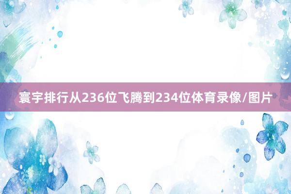 寰宇排行从236位飞腾到234位体育录像/图片