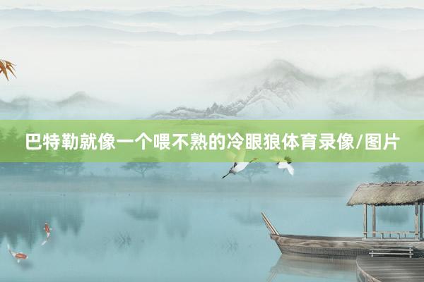 巴特勒就像一个喂不熟的冷眼狼体育录像/图片