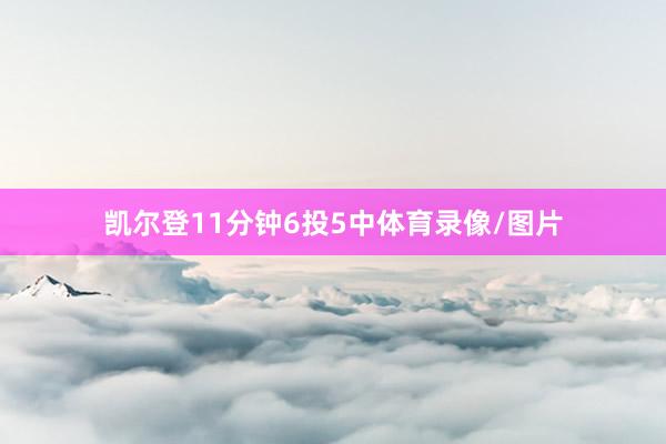 凯尔登11分钟6投5中体育录像/图片