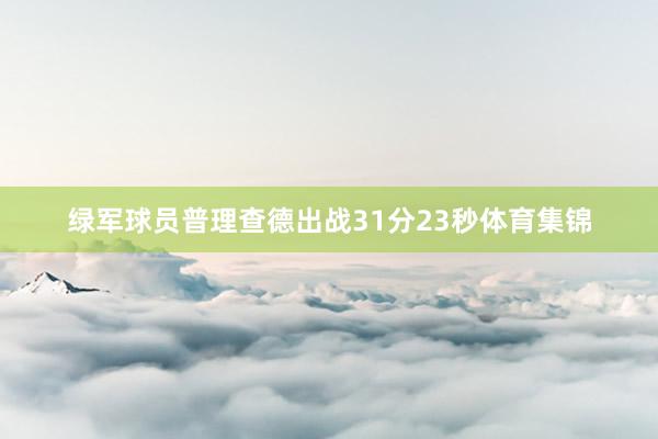 绿军球员普理查德出战31分23秒体育集锦