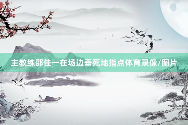 主教练邵佳一在场边垂死地指点体育录像/图片