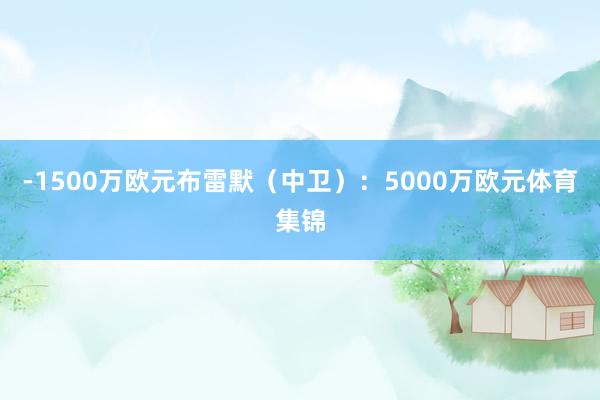 -1500万欧元布雷默（中卫）：5000万欧元体育集锦