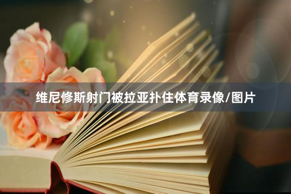 维尼修斯射门被拉亚扑住体育录像/图片