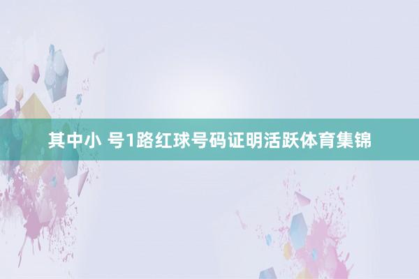 其中小 号1路红球号码证明活跃体育集锦