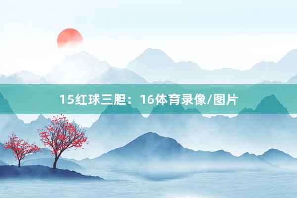15　　红球三胆：16体育录像/图片