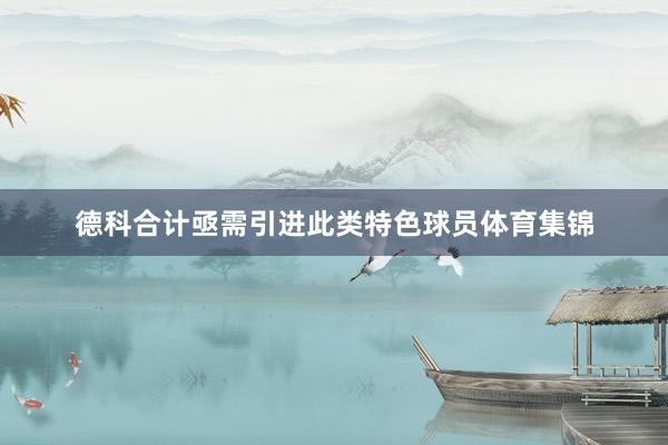 德科合计亟需引进此类特色球员体育集锦
