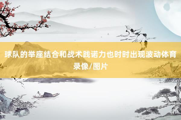球队的举座结合和战术践诺力也时时出现波动体育录像/图片