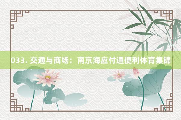 033. 交通与商场：南京海应付通便利体育集锦