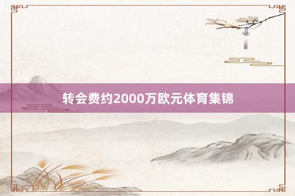 转会费约2000万欧元体育集锦