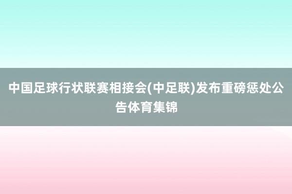 中国足球行状联赛相接会(中足联)发布重磅惩处公告体育集锦