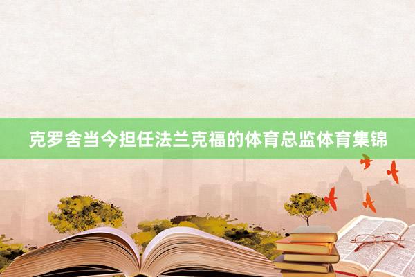 克罗舍当今担任法兰克福的体育总监体育集锦