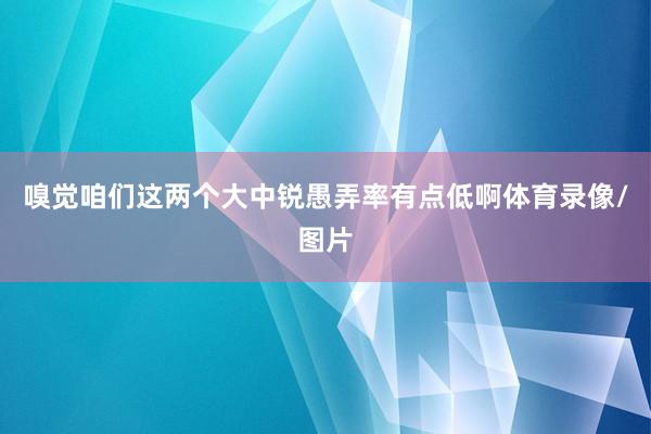 嗅觉咱们这两个大中锐愚弄率有点低啊体育录像/图片