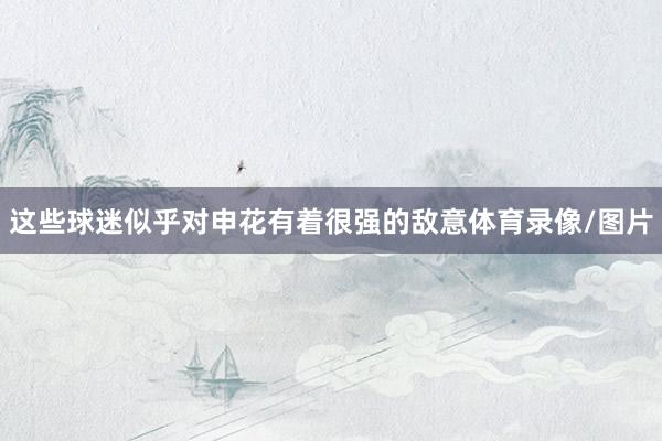 这些球迷似乎对申花有着很强的敌意体育录像/图片