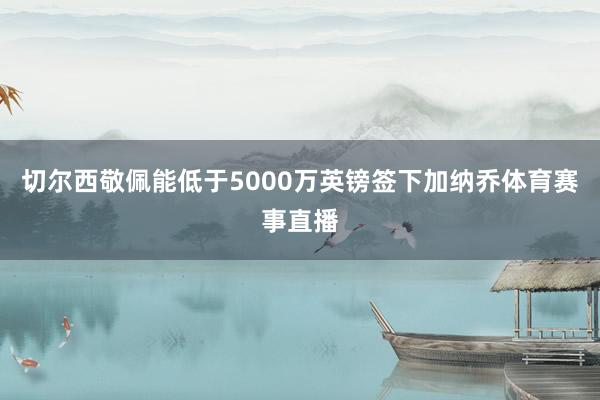 切尔西敬佩能低于5000万英镑签下加纳乔体育赛事直播