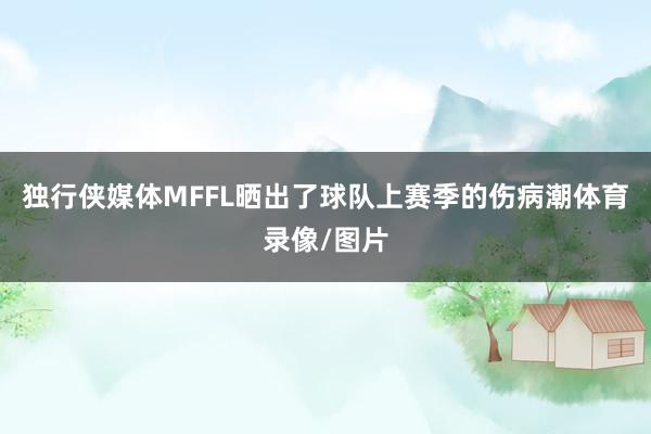 独行侠媒体MFFL晒出了球队上赛季的伤病潮体育录像/图片