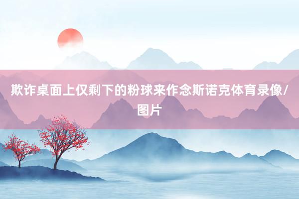欺诈桌面上仅剩下的粉球来作念斯诺克体育录像/图片