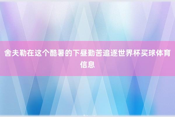 舍夫勒在这个酷暑的下昼勤苦追逐世界杯买球体育信息