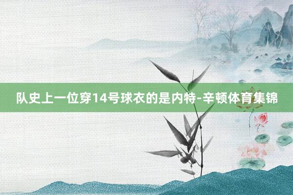 队史上一位穿14号球衣的是内特-辛顿体育集锦
