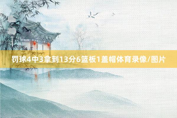 罚球4中3拿到13分6篮板1盖帽体育录像/图片