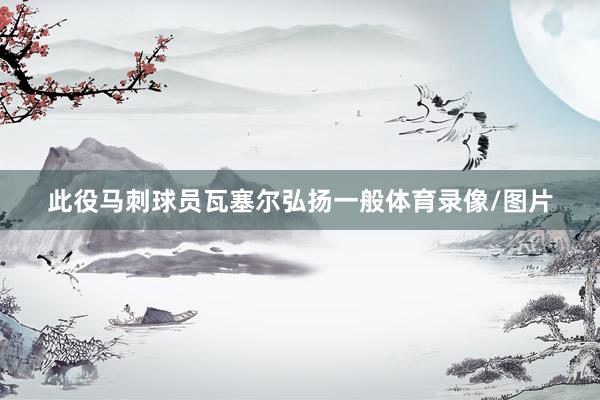 此役马刺球员瓦塞尔弘扬一般体育录像/图片