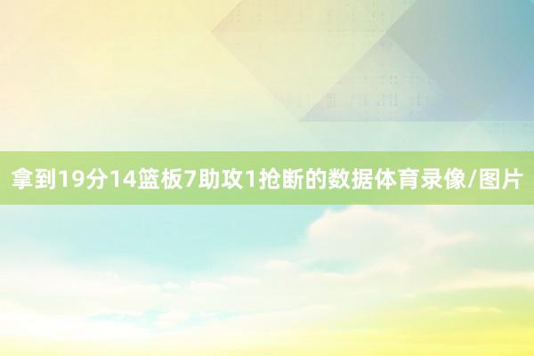 拿到19分14篮板7助攻1抢断的数据体育录像/图片