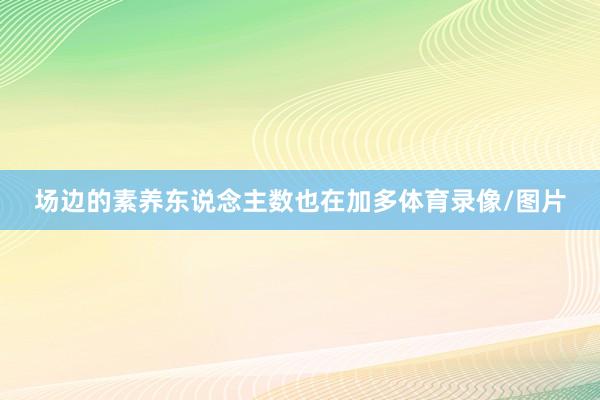 场边的素养东说念主数也在加多体育录像/图片