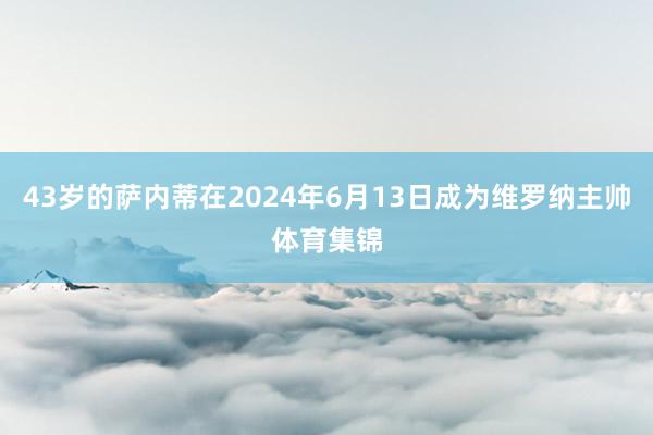 43岁的萨内蒂在2024年6月13日成为维罗纳主帅体育集锦