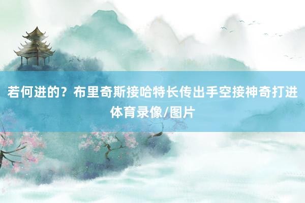 若何进的？布里奇斯接哈特长传出手空接神奇打进体育录像/图片