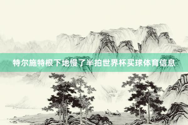 特尔施特根下地慢了半拍世界杯买球体育信息