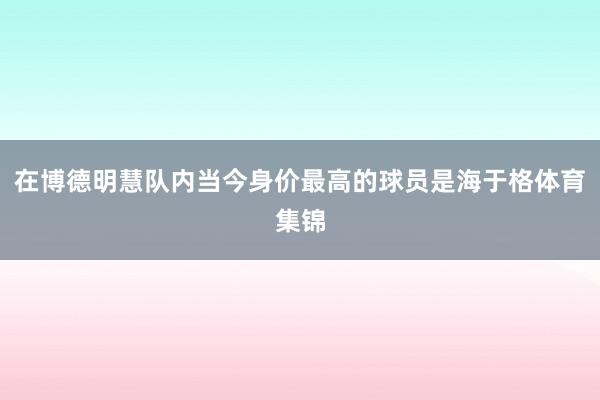在博德明慧队内当今身价最高的球员是海于格体育集锦
