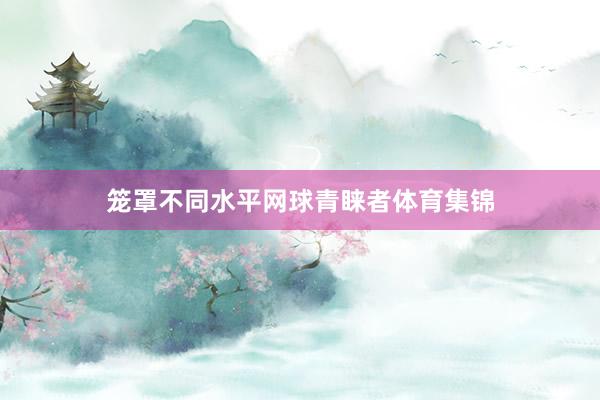 笼罩不同水平网球青睐者体育集锦