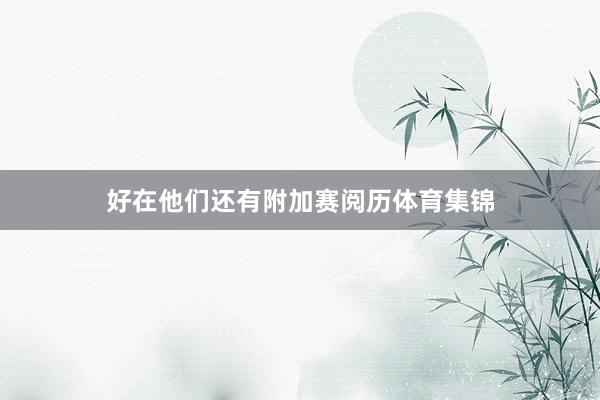 好在他们还有附加赛阅历体育集锦