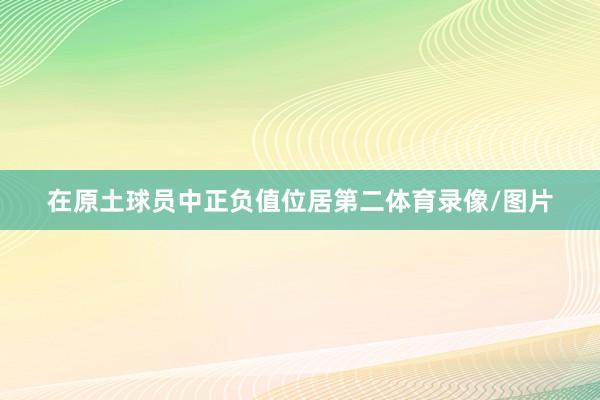 在原土球员中正负值位居第二体育录像/图片