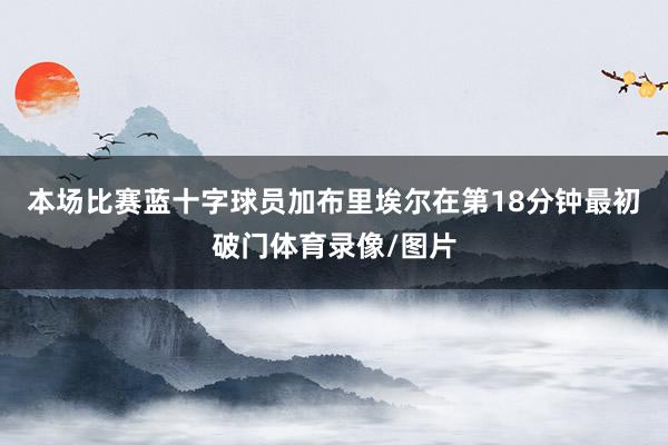本场比赛蓝十字球员加布里埃尔在第18分钟最初破门体育录像/图片