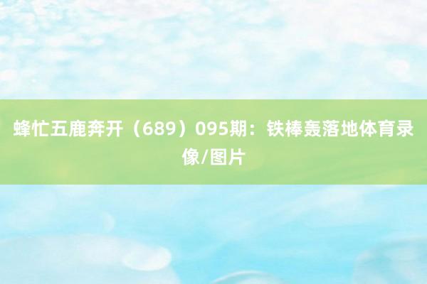 蜂忙五鹿奔开（689）　　095期：铁棒轰落地体育录像/图片