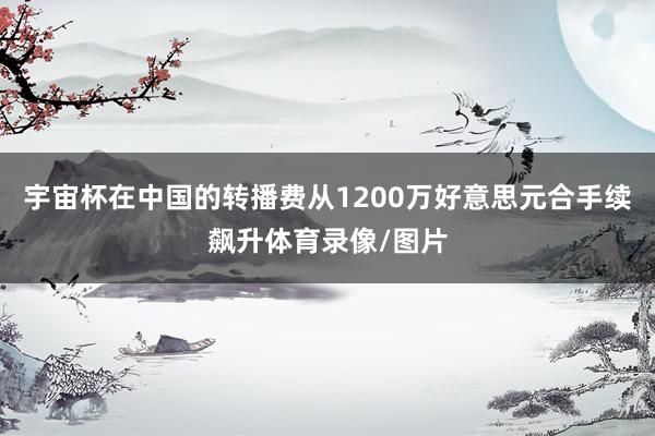 宇宙杯在中国的转播费从1200万好意思元合手续飙升体育录像/图片