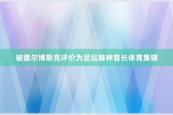 被德尔博斯克评价为足坛精神首长体育集锦