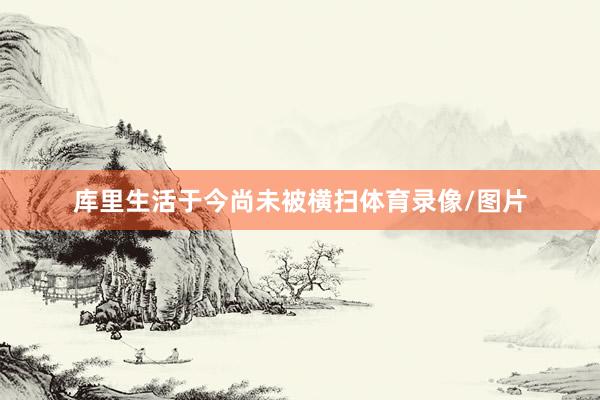 库里生活于今尚未被横扫体育录像/图片