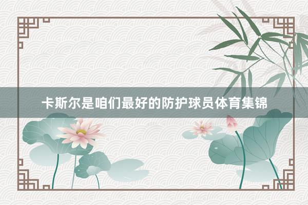 卡斯尔是咱们最好的防护球员体育集锦