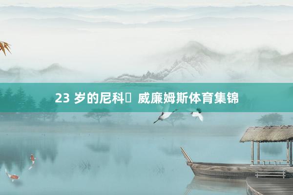 23 岁的尼科・威廉姆斯体育集锦