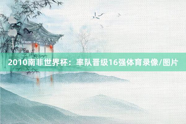 2010南非世界杯：率队晋级16强体育录像/图片