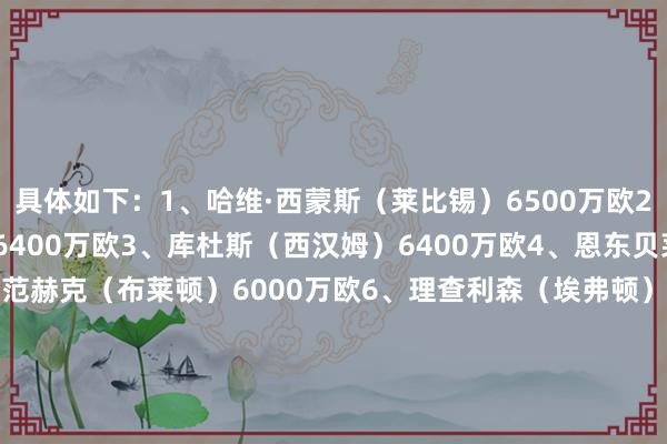 具体如下：1、哈维·西蒙斯（莱比锡）6500万欧2、索兰克（伯恩茅斯）6400万欧3、库杜斯（西汉姆）6400万欧4、恩东贝莱（里昂）6200万欧5、范赫克（布莱顿）6000万欧6、理查利森（埃弗顿）5800万欧7、约翰逊（诺丁汉丛林）5500万欧8、罗梅罗（亚特兰大）5400万欧9、麦迪逊（莱斯特城）4600万欧10、桑切斯（阿贾克斯）4200万欧    体育集锦