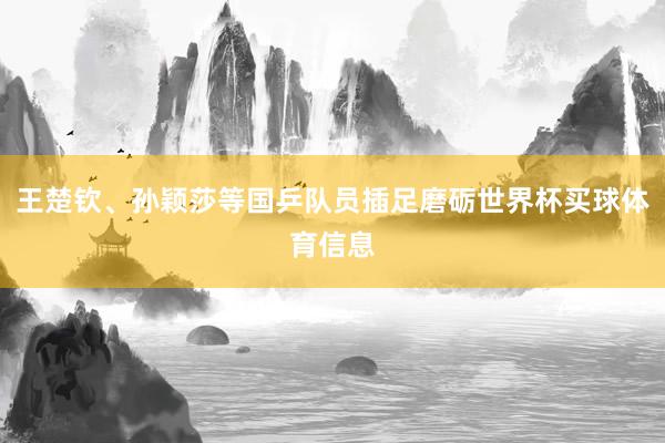 王楚钦、孙颖莎等国乒队员插足磨砺世界杯买球体育信息