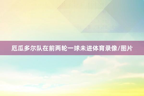 厄瓜多尔队在前两轮一球未进体育录像/图片